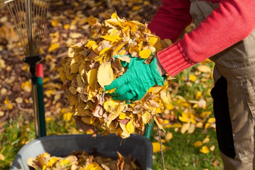 Eco-friendly and sustainable clearance practices in Stockwell.